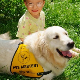 Pes klienta
